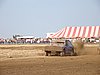 2009CRI-A-031.JPG