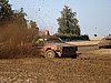 2009CRI-A-206.JPG