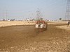 2009CRI-A-211.JPG