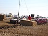 2009CRI-S-207.JPG