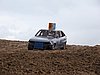 2010CRI-SP-105.JPG