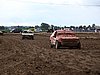 2010CRI-SP-245.JPG