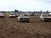 2010CRI-SP-247.JPG