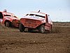 2010GOE-A-062.JPG