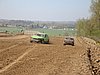 2010HOE-S-231.JPG