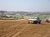 2010HOE-S-233.JPG