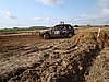 2010LEE-S-088.JPG