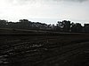 2010ROO-A-175.JPG