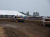 2010SCH-A-056.JPG