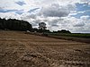 2011BIE-A-053.JPG