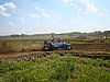 2011LEE-SA-073.JPG
