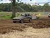 2012HAA-SP-214.JPG