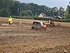 2012ROO-A-050.JPG