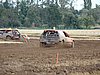 2012ROO-A-204.JPG