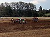 2012ROO-A-213.JPG