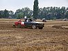 2012ROO-S-062.JPG