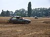 2012ROO-S-093.JPG