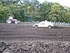 2012WES-SP-120.JPG