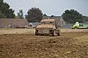 2013VIL-A-241.JPG