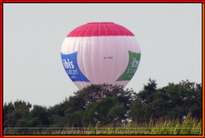 2013WIL-A-259.JPG