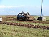 DSC04716.JPG