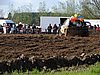 DSC04799.JPG