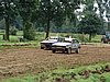 DSC01892.JPG