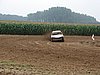 DSC09331.JPG