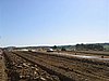 IMG_5731.JPG