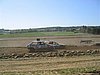 IMG_5773.JPG