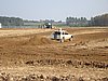DSC01463.JPG