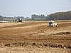 DSC01465.JPG