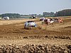 DSC01487.JPG