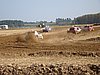 DSC01488.JPG