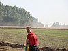 DSC01506.JPG