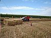 DSC00437.JPG