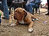 DSC12719.JPG