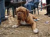 DSC12720.JPG