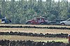 DSC_6949.jpg