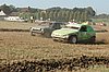 DSC_6982.jpg