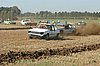 DSC_6987.jpg