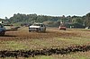 DSC_7023.jpg
