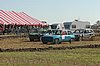 DSC_7037.jpg