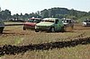 DSC_7045.jpg