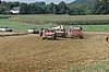 DSC_7113.jpg
