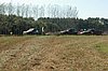 DSC_7138.jpg