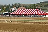 DSC_7151.jpg