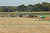 DSC_7156.jpg