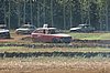 DSC_7172.jpg