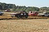 DSC_7175.jpg